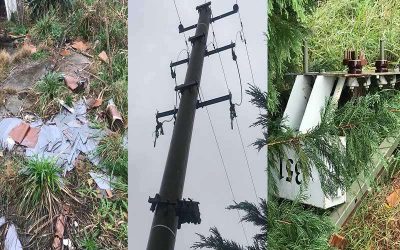 Roban cables de la red de alumbrado público y cobre de un transformador